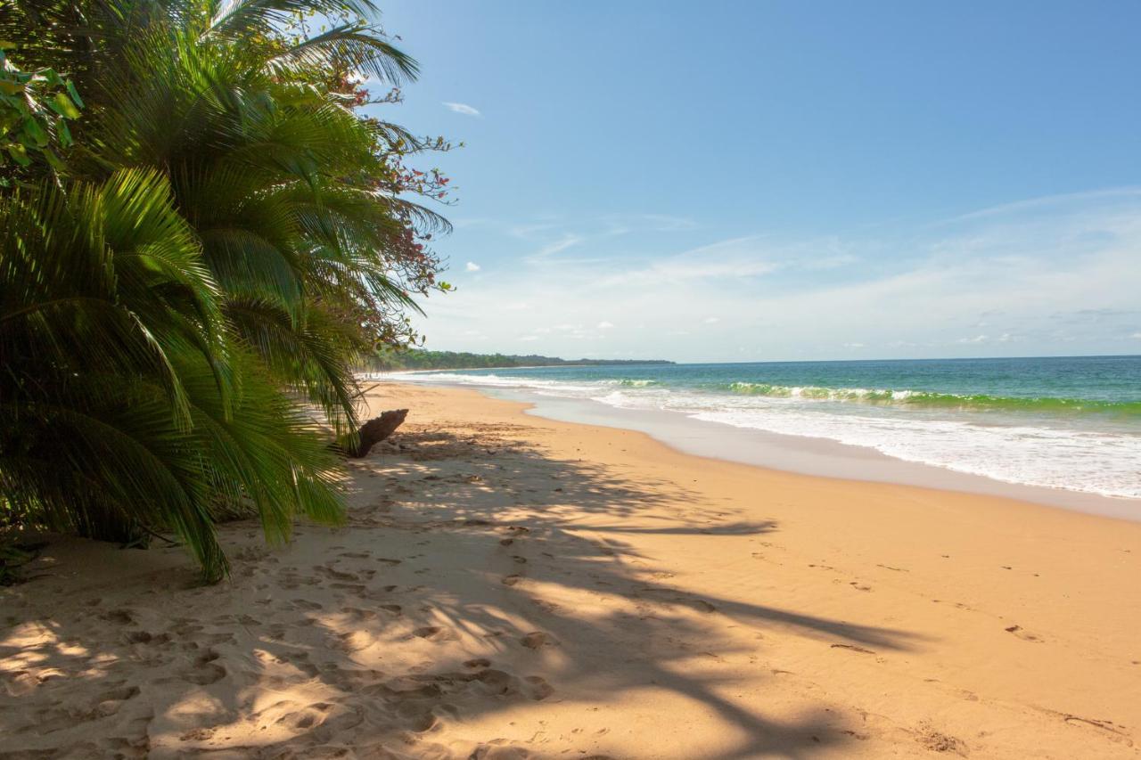 La Coralina Island House Hotel Bocas Town Exterior photo